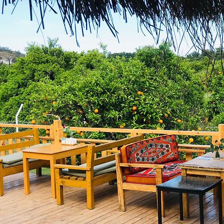 Dream Town Hotel&Restaurant Kemer Buitenkant foto