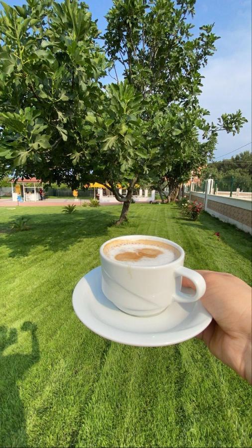 Dream Town Hotel&Restaurant Kemer Buitenkant foto